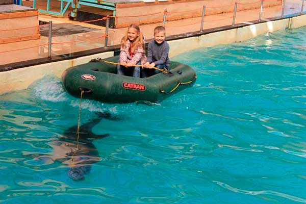 Фотоальбом: Поездка в дельфинарий, Детский сад Оскар бэби - kdJ4hTuwKzc.jpg