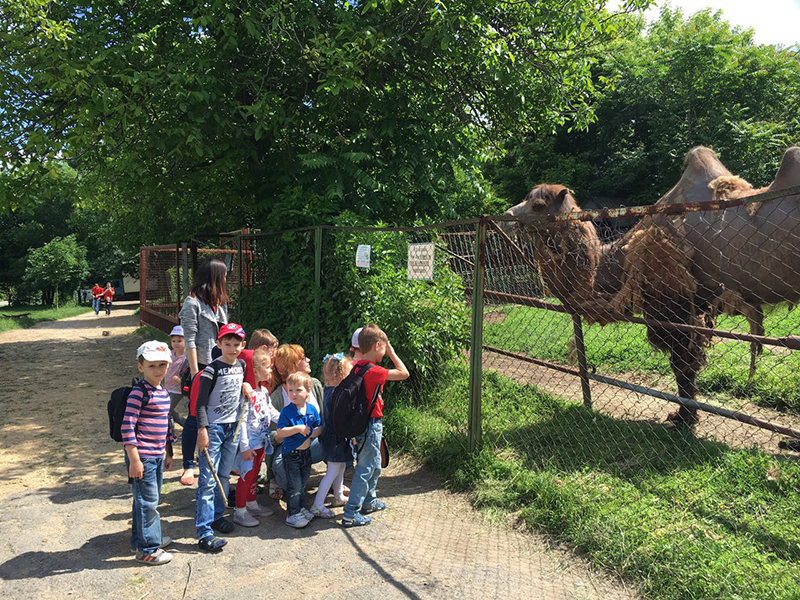 Фотоальбом: Поездка в зоопарк, Частный детский сад Карапуз и К - image-09-06-16-15-39-1.jpg
